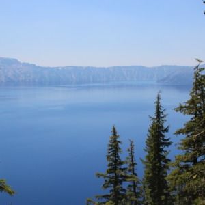 Meet your Posher, Levi